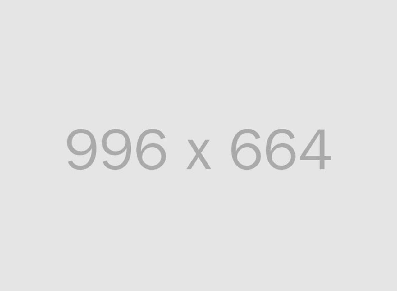 alt 996x664