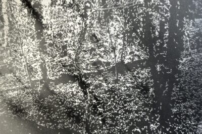 Agrandir l'image 1 sur 7, fenêtre modale